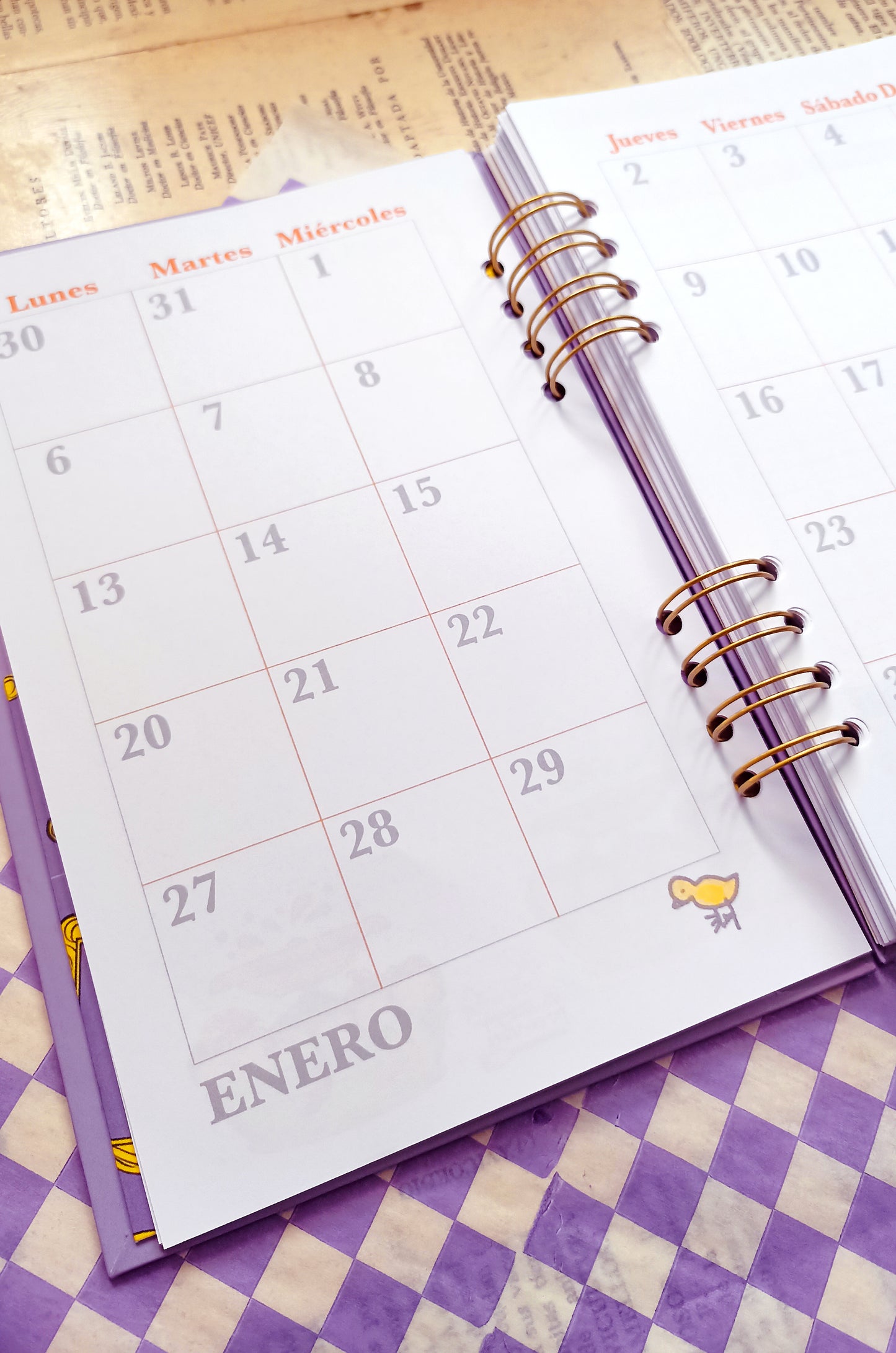Agenda Friends 2025 personalizable