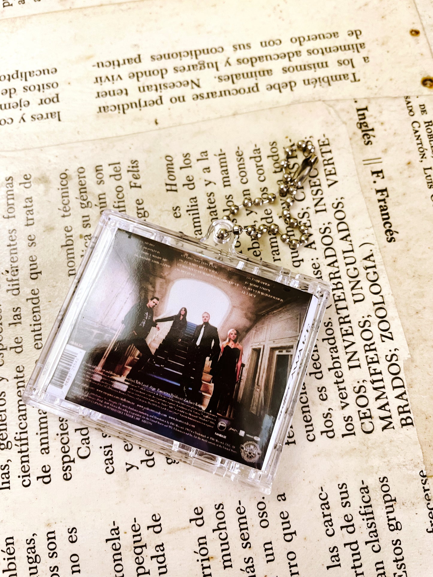 Skillet Awake- Llavero Mini CD  con NFC link personalizado| Regalo Musical Original